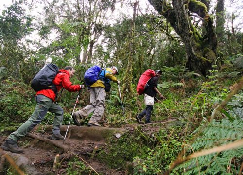 6 Days Mount Kilimanjaro Rongai route